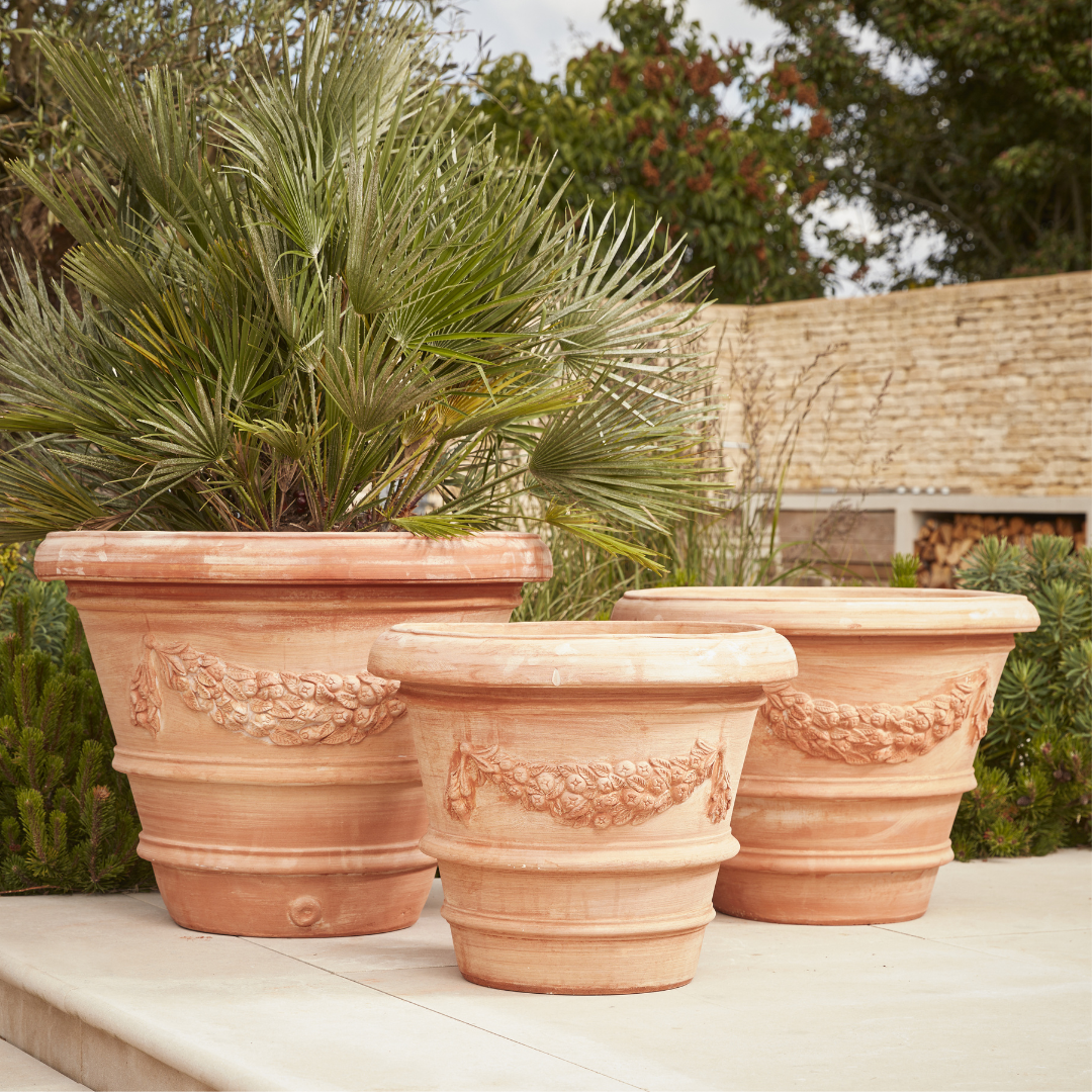 potting mix for money tree Money Tree Potting Soil Mix; Custom Blend for Money Plant Container  Gardening  Kurated Korner
