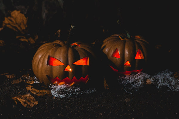 Spook-tacular styling for your Halloween garden