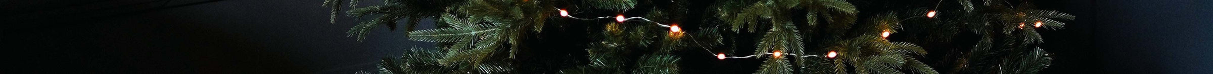 Gardenesque Christmas Gift Ideas