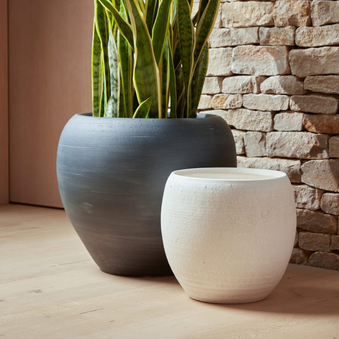 Amora Indoor Plant Pots in white and black, styled side by side to showcase their sculptural design and contrasting finishes.