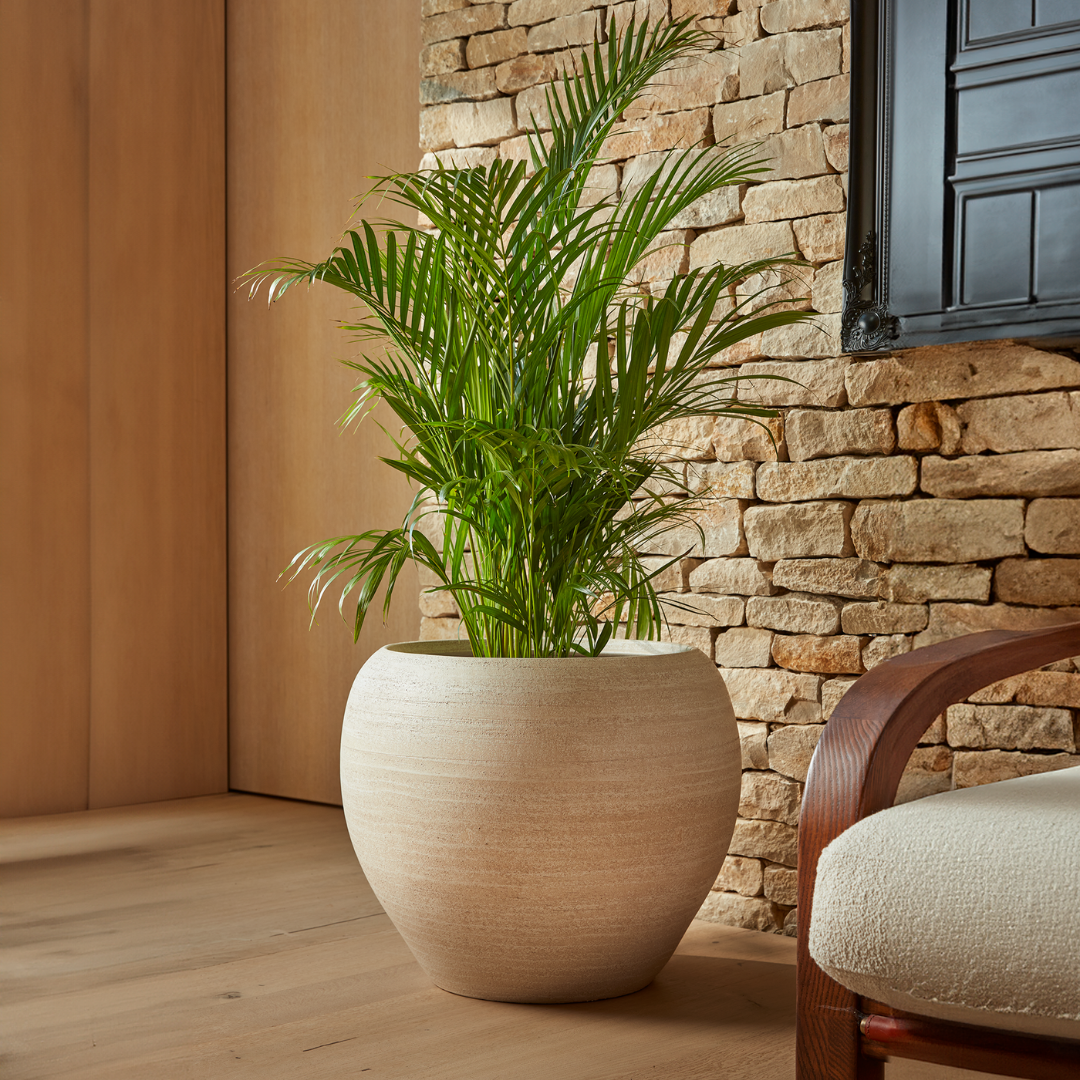 soft plant pots Amora Indoor Plant Pot