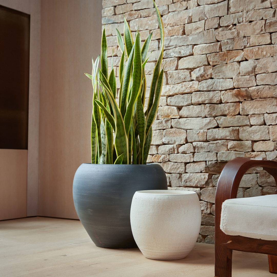 Amora Indoor Plant Pots in two sizes and finishes, displayed together in a natural stone and wood interior.