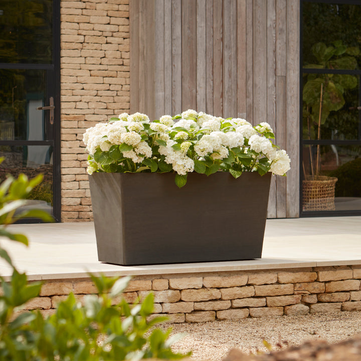 Gardenesque x EcoPots Extra Large Wheeled Trough in charcoal, elegantly displayed with white hydrangeas on a patio.