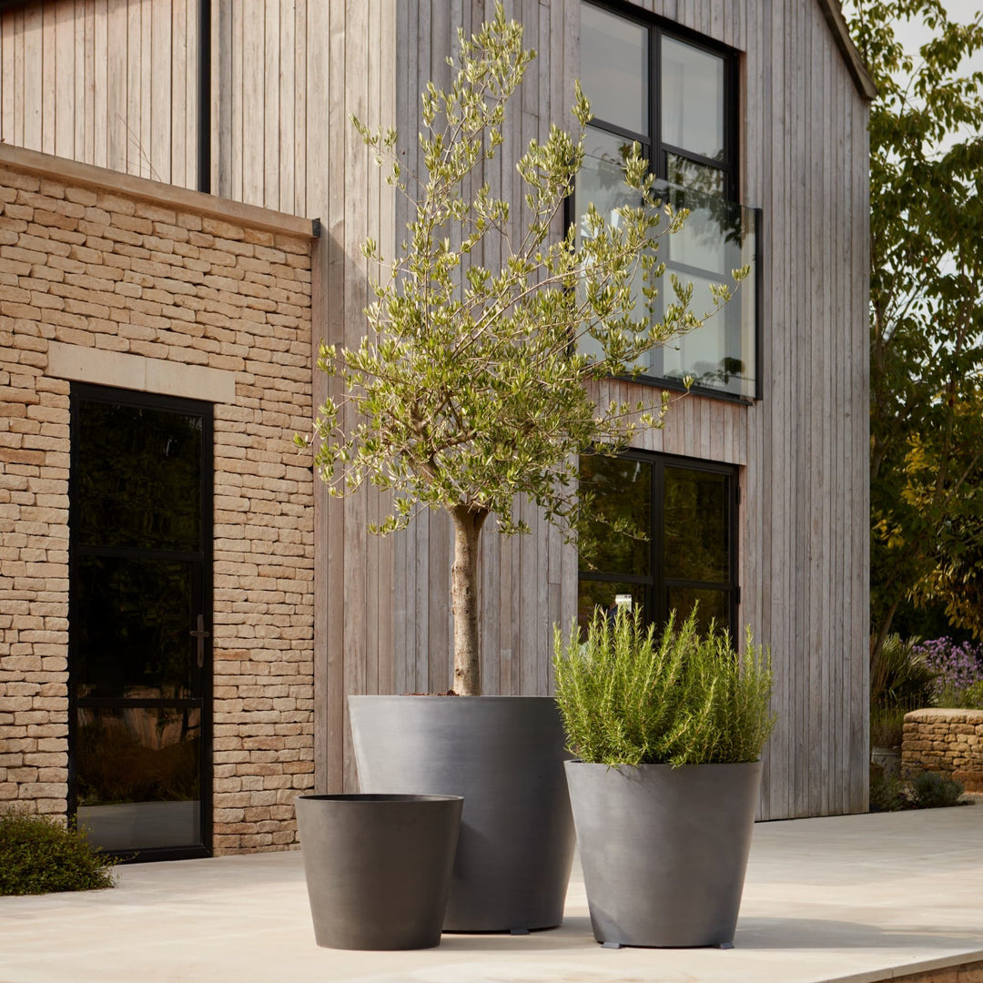Set of tall grey metal planters displayed outside a contemporary home, ideal for statement trees and outdoor greenery.