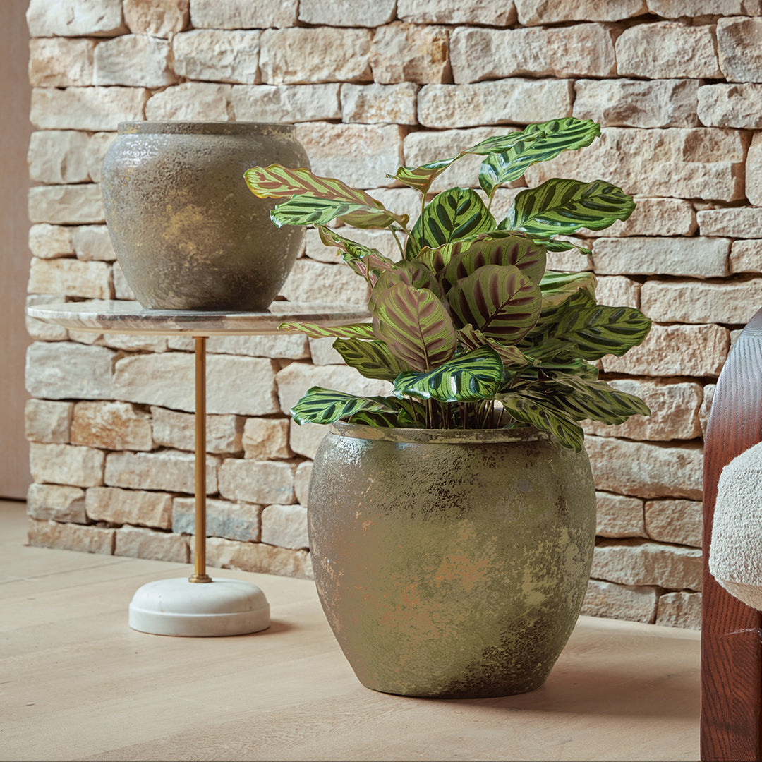 Julian Gold Indoor Plant Pots in two sizes, featuring a textured antique finish, displayed in a rustic-inspired interior.