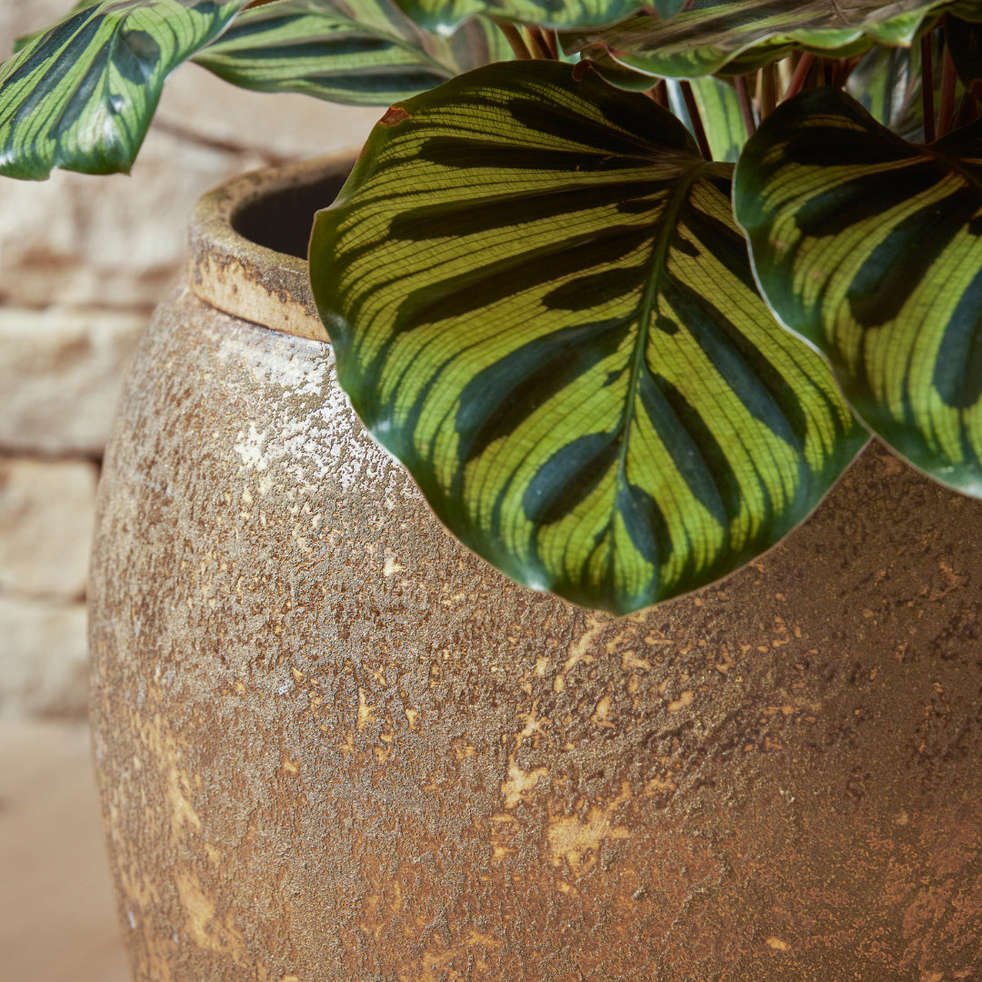 Close-up of the Julian Gold Indoor Plant Pot, highlighting its earthy bronze patina and handcrafted ceramic texture.