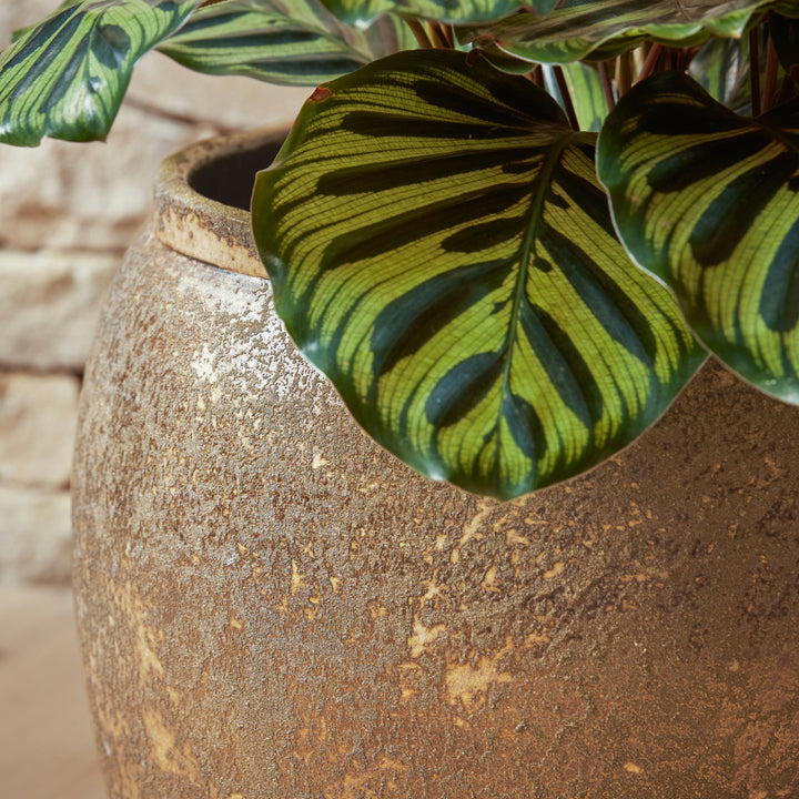 Close-up of the Julian Gold Indoor Plant Pot, highlighting its earthy bronze patina and handcrafted ceramic texture.
