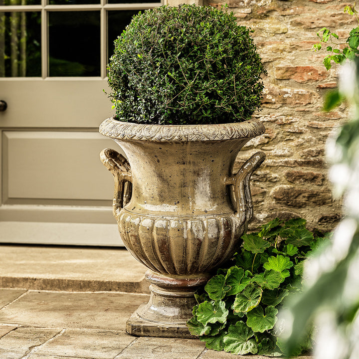 Large urn planter in honey glaze with ribbed design and twin handles, styled with topiary by a stone doorway.
