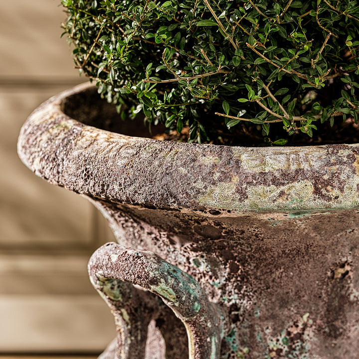 Rim detail of large urn planter in turquoise aged finish, planted with evergreen foliage.