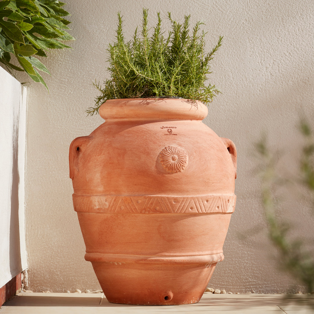 Large Italian Terracotta Oricio Jar Planter in a Mediterranean patio planted with rosemary