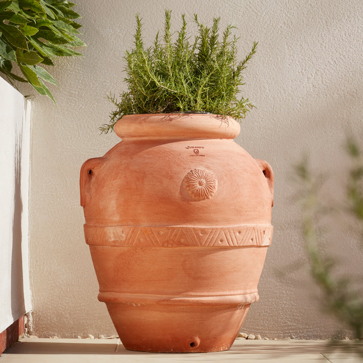 Large Italian Terracotta Oricio Jar Planter in a Mediterranean patio planted with rosemary