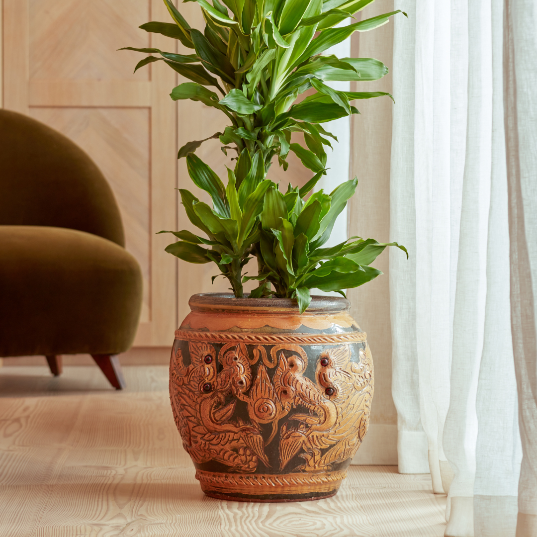 Decorative Plant Containers Buy Behoma Modern Metal Cylinder Planter Decorative Plant Containers Buy Behoma Modern Metal Cylinder Planter