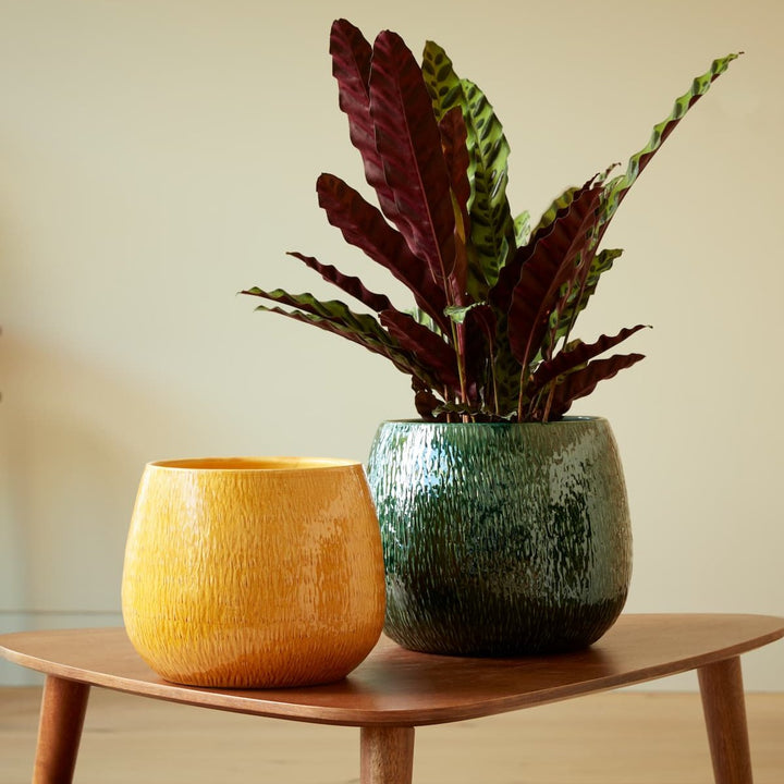Ramada Indoor Plant Pots in golden yellow and deep blue, displayed together on a wooden surface for a bold, artistic statement.