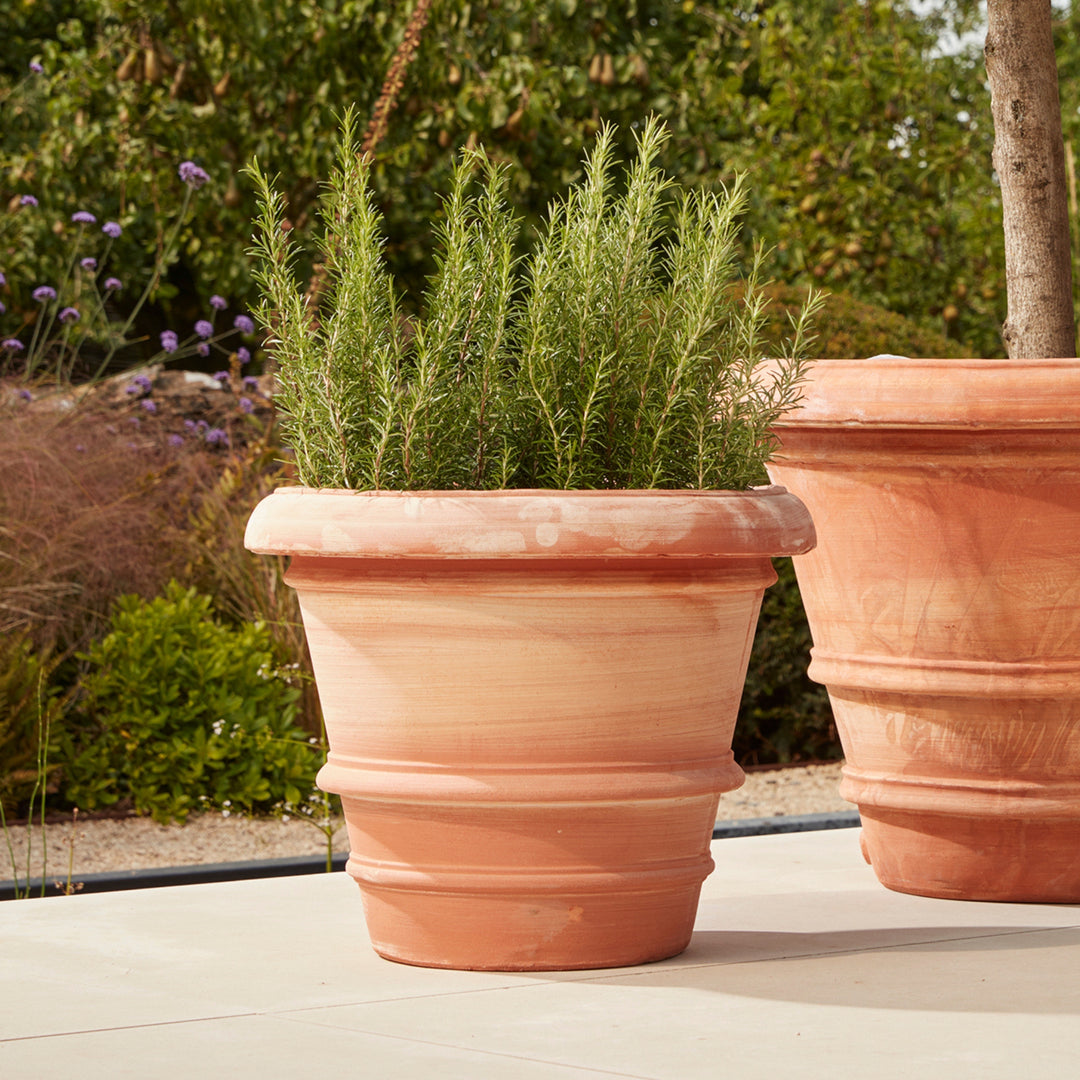 A pair of Verona Extra Large Terracotta Pots with sculpted detailing, adding timeless Mediterranean charm to an outdoor space.