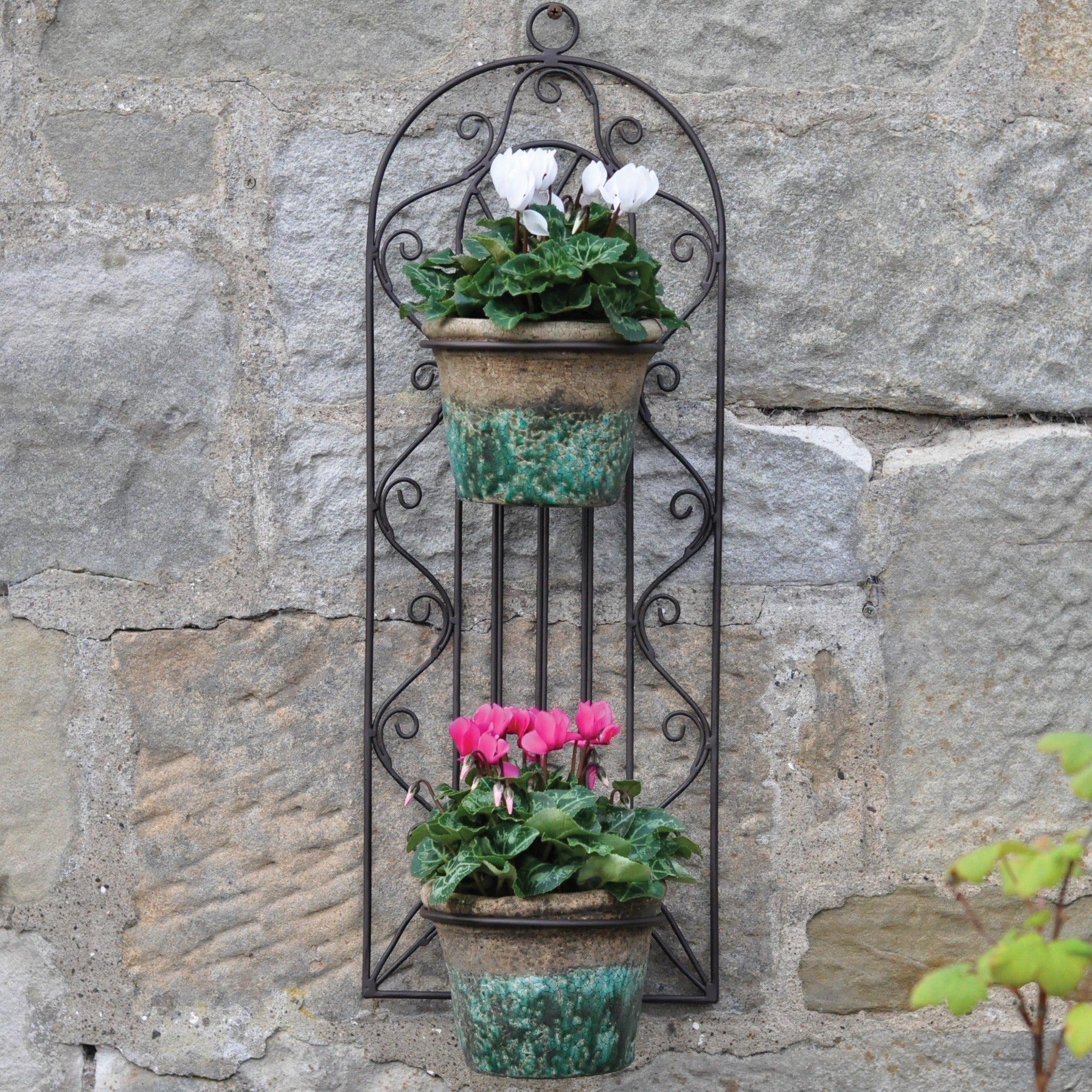 Wrought iron wall plant sales holders