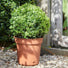 Turin Recycled Plastic Self-Watering Plant Pot with Saucer - 2 Sizes