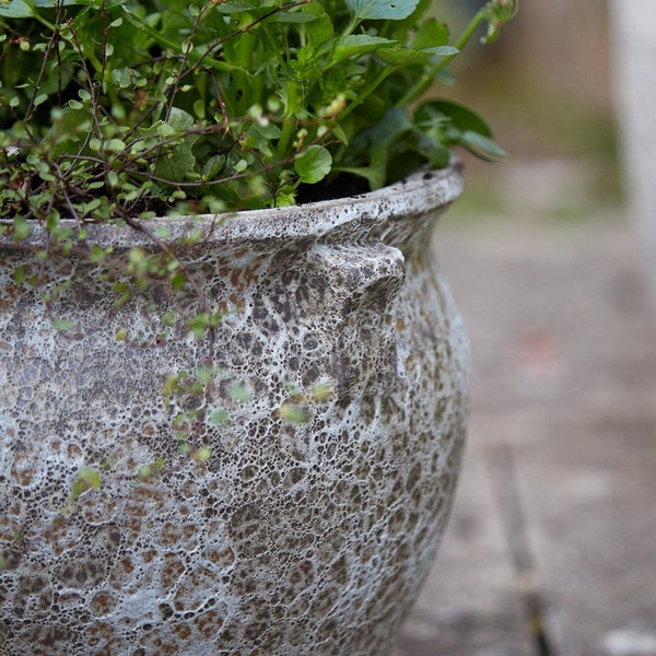 Ancient Collection Garden Plant Pot Bowl - Gardenesque