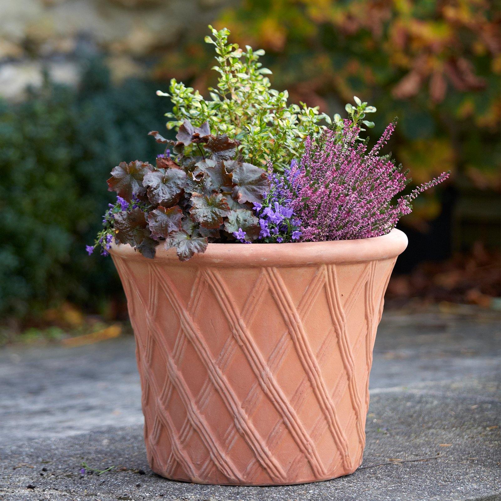 Clayton Lattice Terracotta Plant Pots | Multiple Sizes | Gardenesque