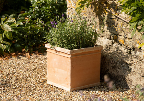 How to age or colour your terracotta containers