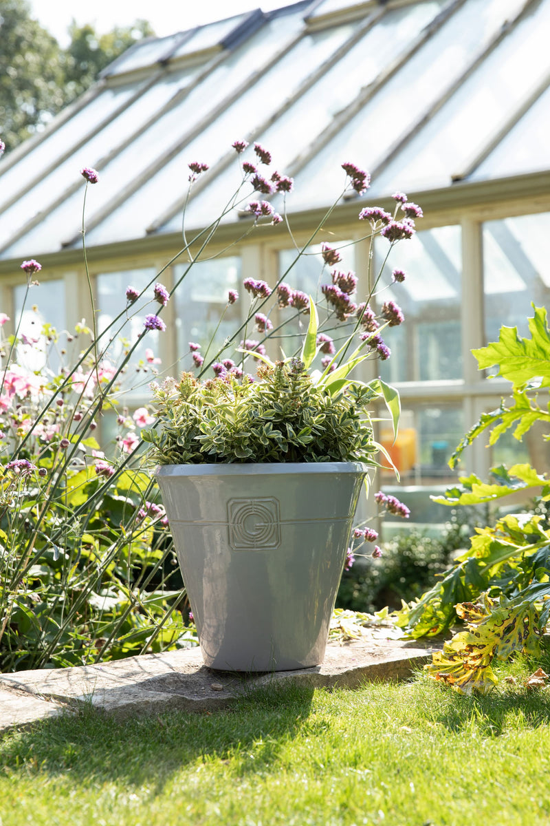 The Top 10 Gardening Tips for Beginners