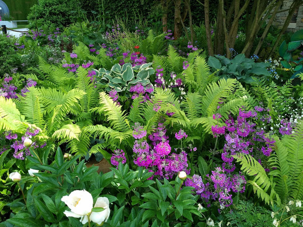 Embracing nature: Chelsea trends in the home and garden