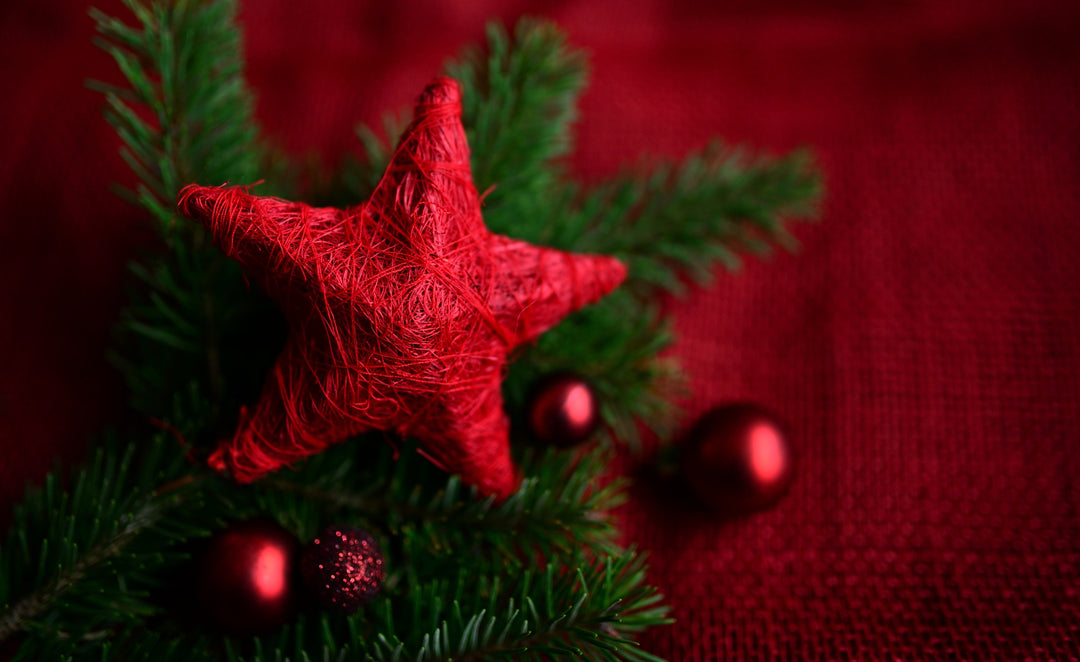 Create a winter wonderland in your garden for Christmas and New Year - Gardenesque