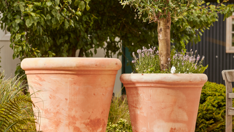 How to Age or Colour Your Terracotta Pots