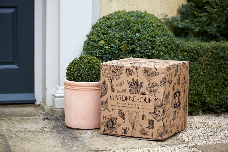 How to Recycle Your Brown Packing Paper!