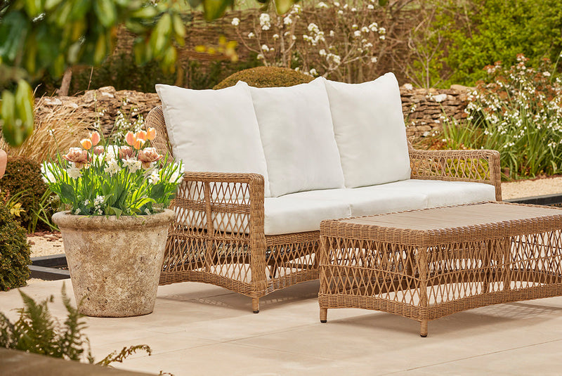 How to plant bulbs in large pots: Your complete guide to spring container displays