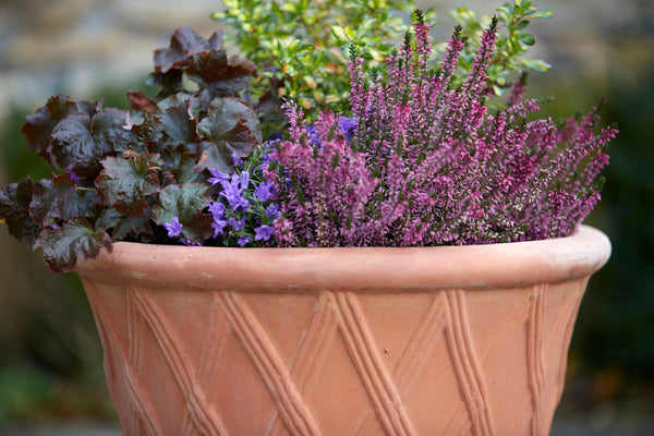 A Beginners Gardening Journey –benefits of handmade terracotta plant pots