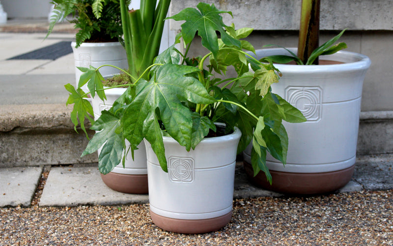 How to create inspiring potscapes in your garden