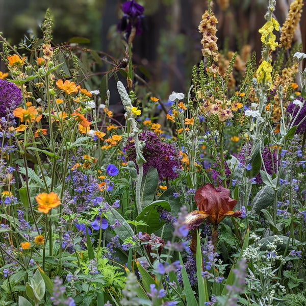 CHELSEA TRENDS Beautiful gardens are truly transformative spaces