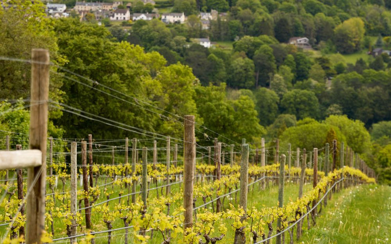 Host At Home: A Summer Gathering in the Cotswolds