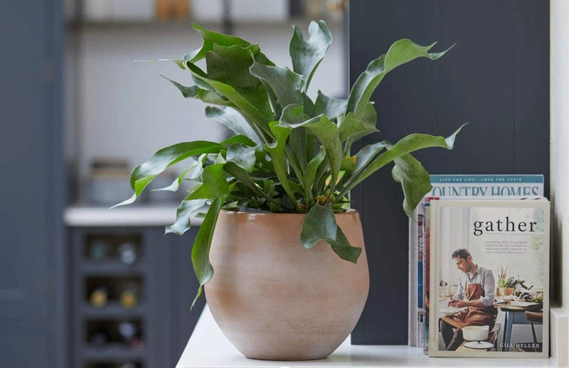 Give life to your interior design with our indoor planter range