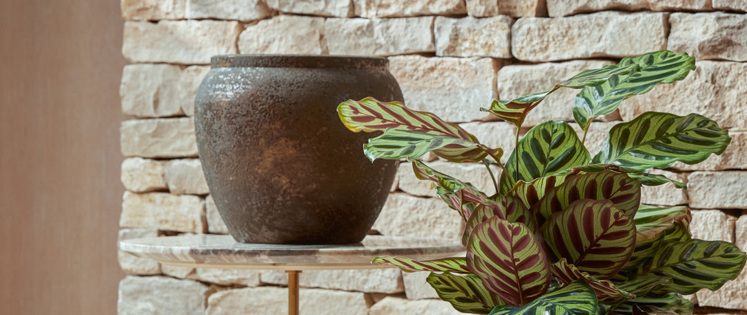 From Clay to Home: The Art of Portuguese Indoor Ceramics