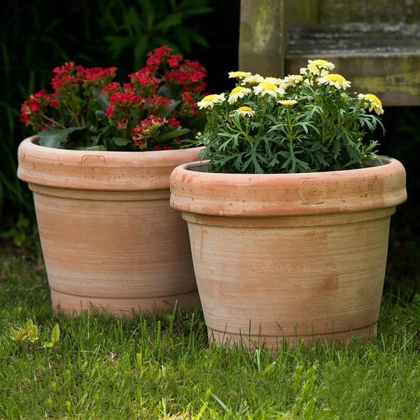 Advantages of clay pots vs plastic pots - Gardenesque