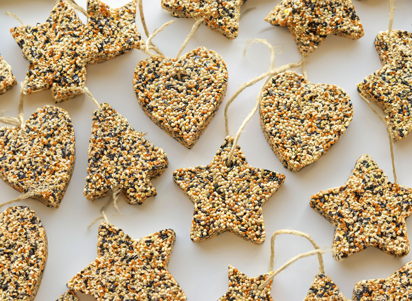 How to Make No-Bake Bird Seed Ornaments