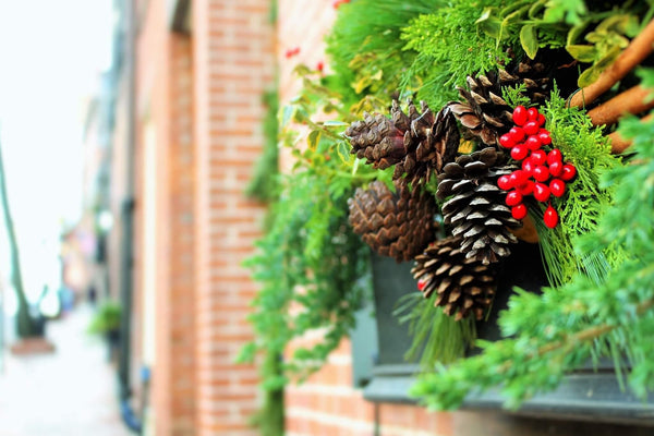 How to Make a Christmas Wreath From Plants in your Garden - Gardenesque