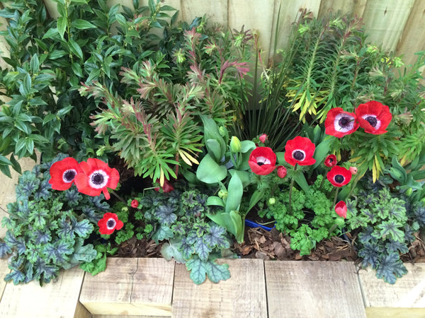 National Gardening Week - 10 easy ideas for your outdoor space