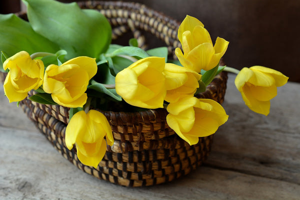 Spring Decor Ideas to Brighten Your Home and Garden