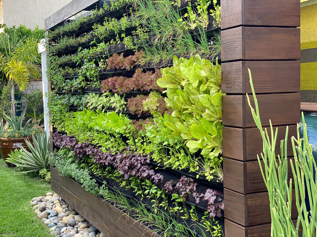 What You Need to Know About Vertical Gardening in 2025