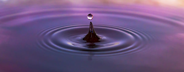 Exploring the benefits of water features