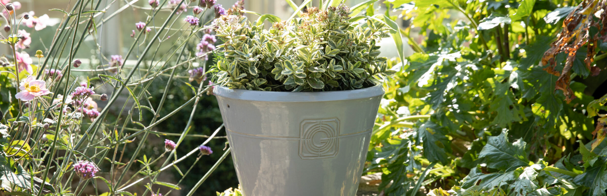 Small Plant Pots