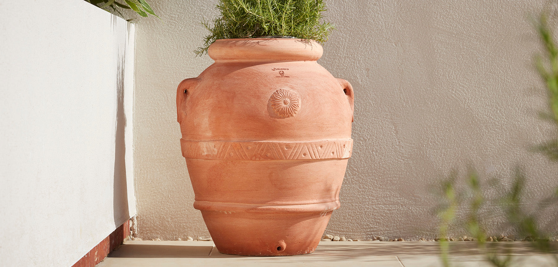 Urn & Jar Planters