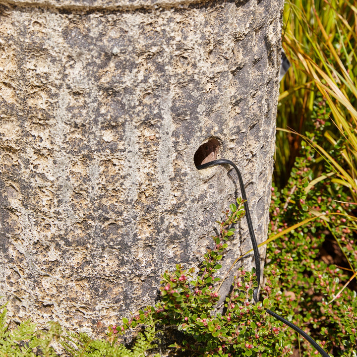 Cable running along a stone wall with greenery in the background