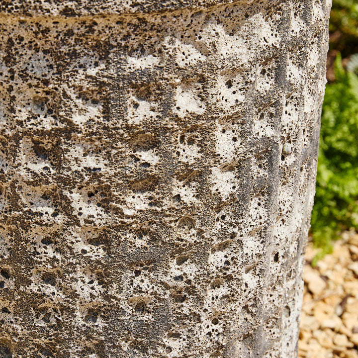 Close-up of a textured stone surface with a blurred natural background