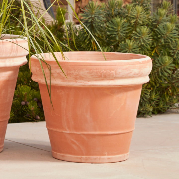A pair of Bordo Italia Extra Large Terracotta Pots arranged on a patio, planted with tall greenery. These frost-proof, durable planters bring Mediterranean charm to any garden.