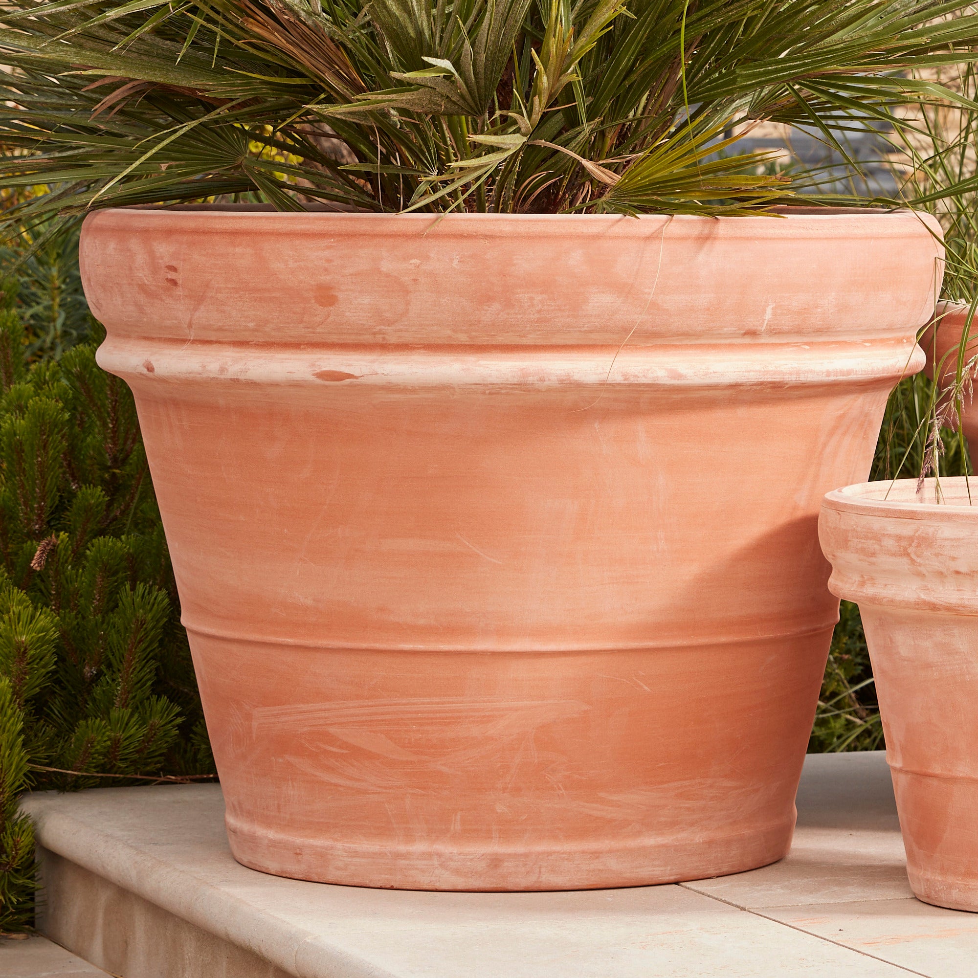 Bordo Large Terracotta Pot | Handcrafted Italian Planter – Gardenesque