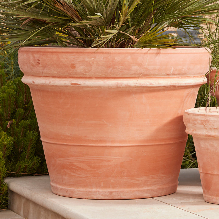 Bordo Italia Extra Large Terracotta Pot with a classic rolled rim, displayed on a sunlit patio with lush greenery. A handcrafted Italian planter, ideal for trees and floral arrangements.