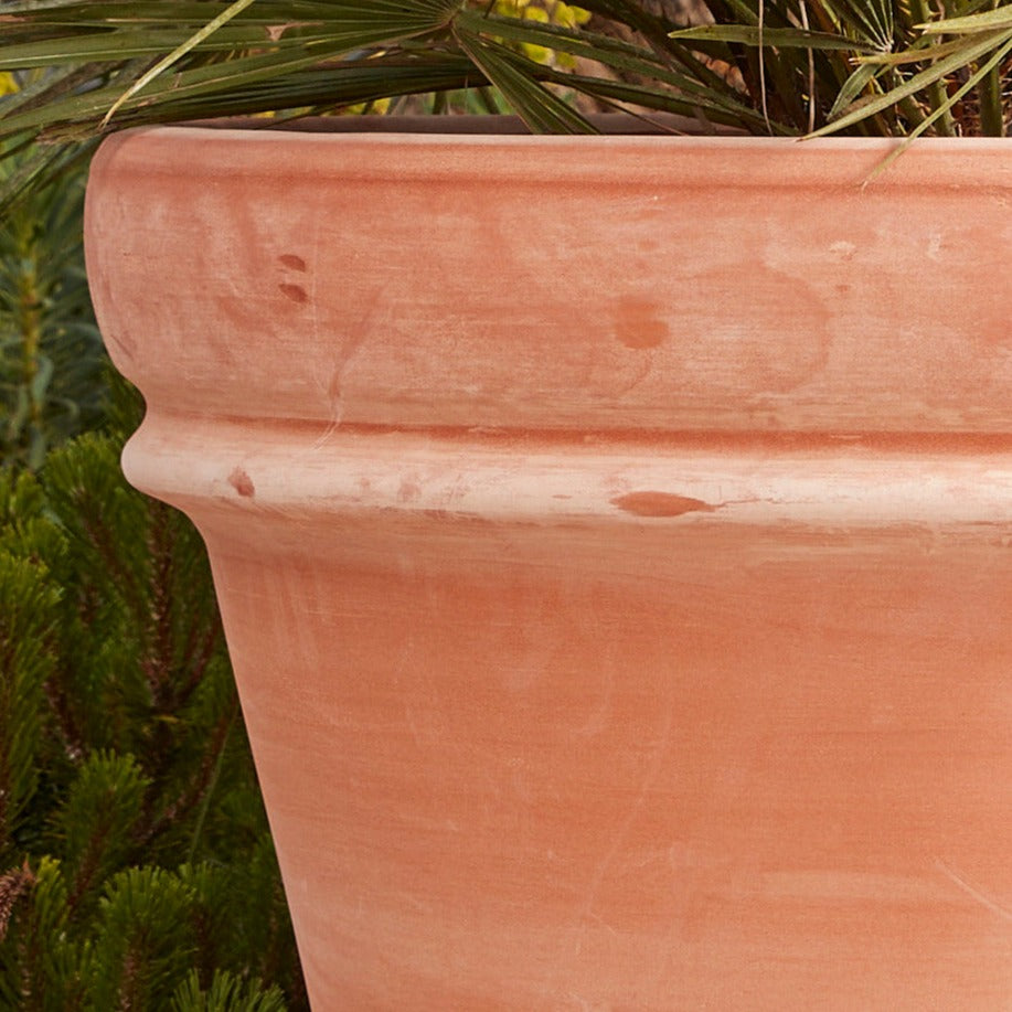 Bordo Italia Extra Large Terracotta Pot with its natural kiln-fired finish and subtle weathering, showcasing its timeless, rustic aesthetic.